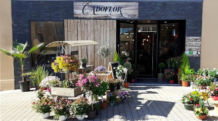 Cadoflor, Fleuriste à Renaison