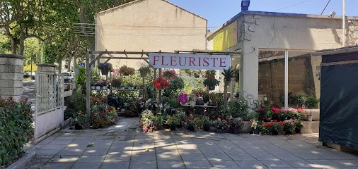 Bois de Roses, Fleuriste à Saint-Hippolyte-du-Fort