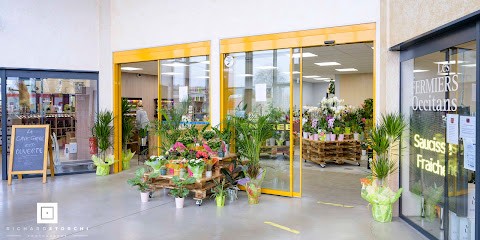 Douce Fleur, Fleuriste à Lescure-d'Albigeois