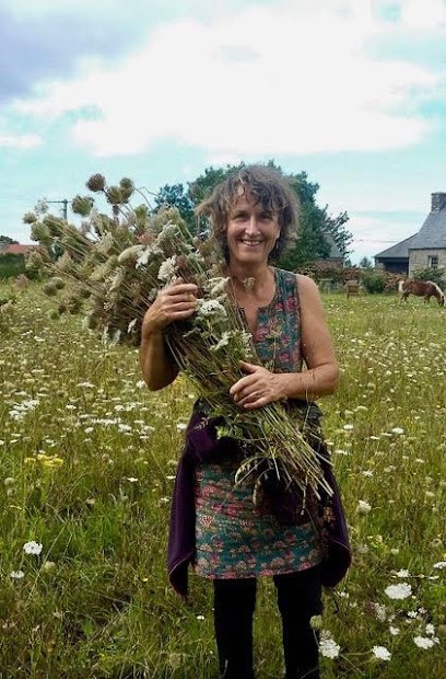 DISKRAB Fleurs naturelles du jardin, Fleuriste à Trédrez-Locquémeau