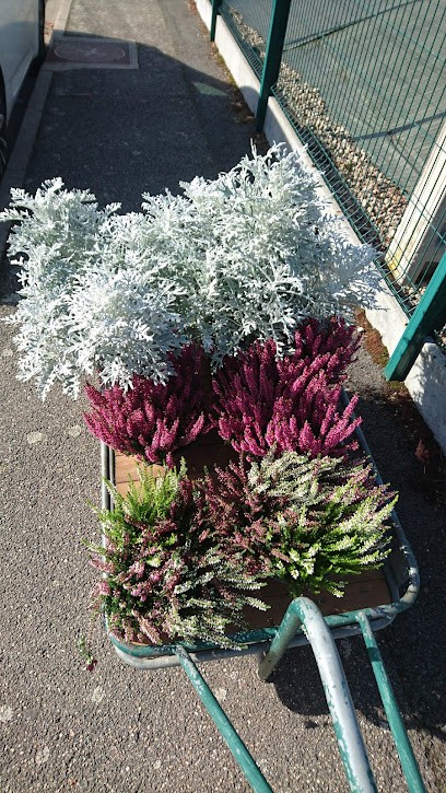 Ets Desmarais, Fleuriste à Varennes-sur-Allier