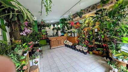 L'Orchidée Verte, Fleuriste à Wasquehal
