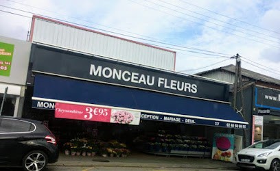 Monceau Fleurs, Fleuriste à Saint-Sébastien-sur-Loire