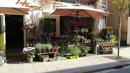 Pierre HENRY, Fleuriste, Fleuriste à Vaison-la-Romaine