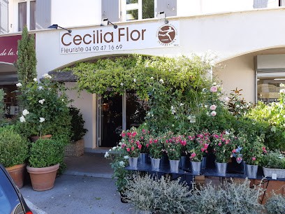 Cécilia Flor, Fleuriste à Saint-Martin-de-Crau