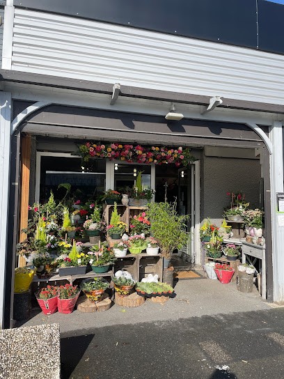 Floraison, Fleuriste à Caudry