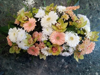 Plessier Gérard, Fleuriste à Roye