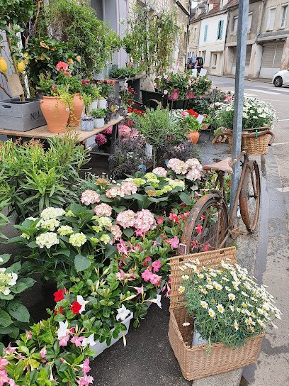Bruno ROYER, Fleuriste à Trun