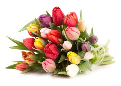Bigot Fleurs, Fleuriste à Allonnes