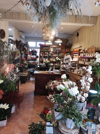 Couleur Pétale, Fleuriste à Biganos