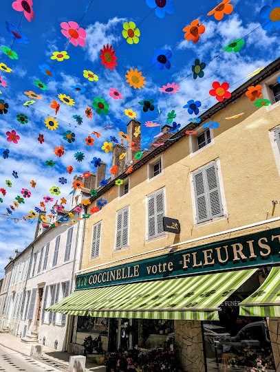 COCCINELLE FLEURS, Fleuriste à Seurre