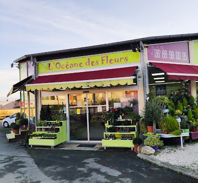 L'Océane Des Fleurs, Fleuriste à Seysses