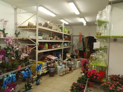 Bouysse Daniel, Fleuriste à Tulle