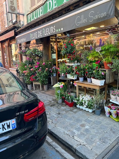Pluie De Fleurs, Gilles Saison Artisan Fleuriste, Fleuriste à Milly-la-Forêt