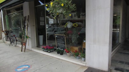Aïda Fleurs, Fleuriste au Cannet