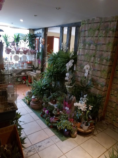 Le Paradis des Fleurs, Fleuriste à Bû