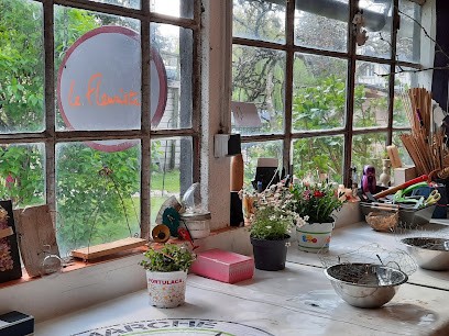 Le fleuriste Olivet, Fleuriste à Olivet