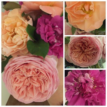 Ti'nie Fleurs, Fleuriste à Pont-de-Vaux