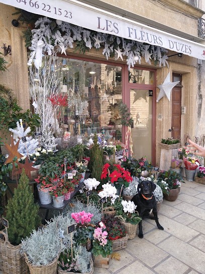 Les Fleurs d'Uzès, Fleuriste à Uzès