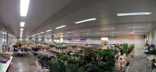 DEXX, Fleuriste à Chassieu