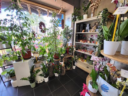 Philip Fleurs, Fleuriste à Villefranche-sur-Mer
