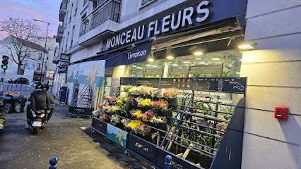 Monceau Fleurs, Fleuriste à Drancy
