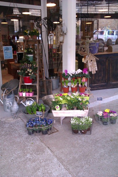 Corda, Fleuriste à Montfort-l'Amaury