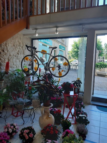 Peyrissaguet Franck, Fleuriste à Treignac