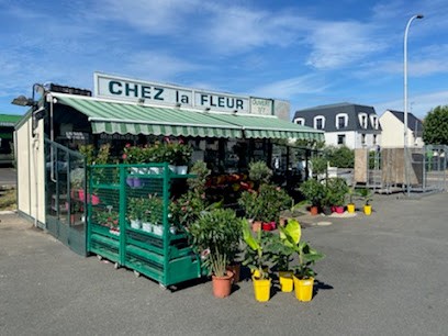 Chez La Fleur, Fleuriste à Montesson