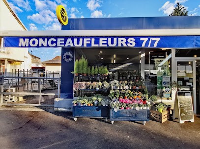 MONCEAU FLEURS, Fleuriste à Saint-Louis