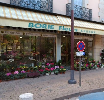 BORIE FLEURS, Fleuriste à Millau