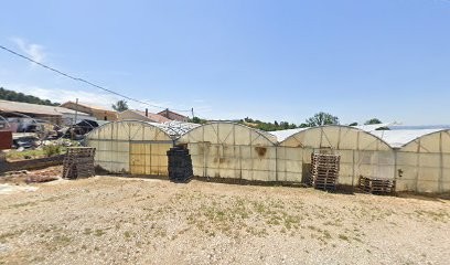 EARL Deroux Plants, Fleuriste à Saint-Bardoux