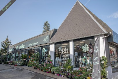 Isa Fleurs Bougtheroulde, Fleuriste à Grand Bourgtheroulde