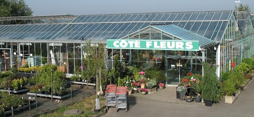 Cote Fleurs, Fleuriste à Dury