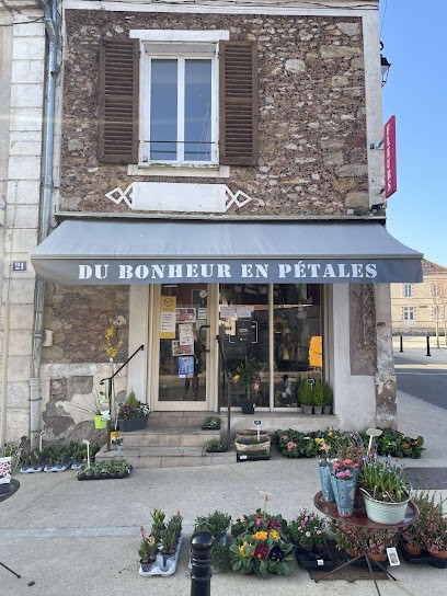 Du Bonheur en Pétales, Fleuriste au Châtelet-en-Brie