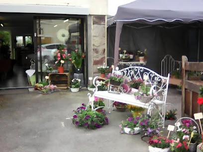 L'orchidée, Fleuriste à Fumay