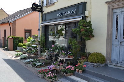 Coquelicot, Fleuriste à Essert
