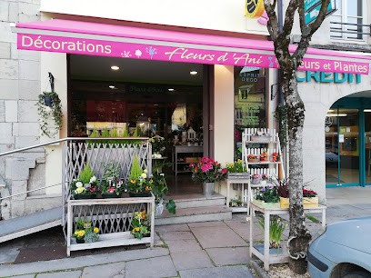 Fleurs D'Ani, Fleuriste à Poligny