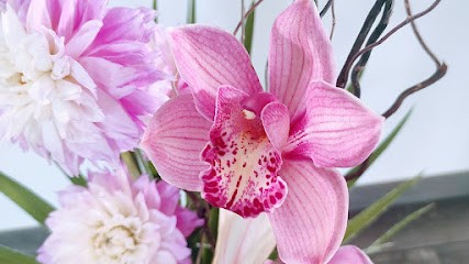 Un Souffle De Fleurs - Fleuriste Toulouse, Fleuriste à Portet-sur-Garonne