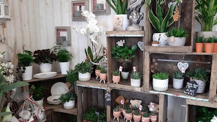 Jardin Des Loges, Fleuriste à Saint-Hilaire-des-Loges