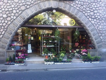 Flora Fleurs, Fleuriste à Prades