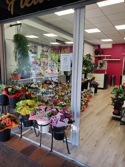 Gigi Fleurs, Fleuriste à Lattes