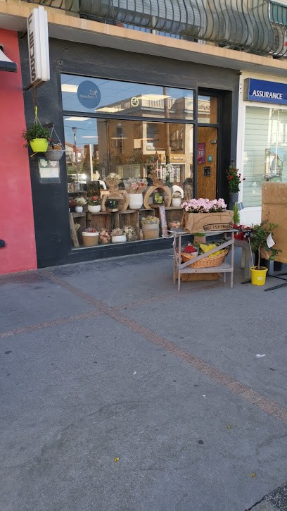 Atout Fleurs, Fleuriste à Canet-en-Roussillon