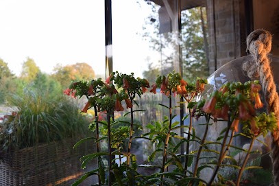 Tendance Nature - Odile Delautel, Fleuriste à Moringhem
