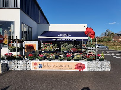 Floralyne, Fleuriste à Orthez