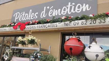 Pétales D'émotion, Fleuriste à La Chapelle-de-la-Tour