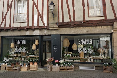 Le Naturel Fleuriste & Créateur, Fleuriste à Vannes