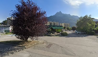 Mi-ni-sa-sallanches, Fleuriste à Sallanches