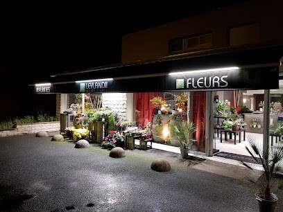 Leylandii, Fleuriste à Léognan