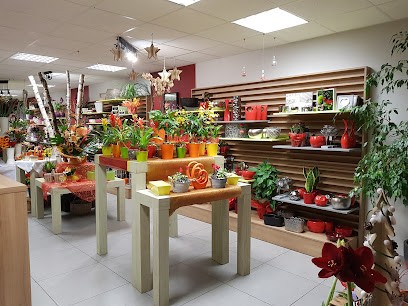 Amour De Fleurs, Fleuriste à Orchamps-Vennes